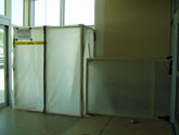 mold remediation